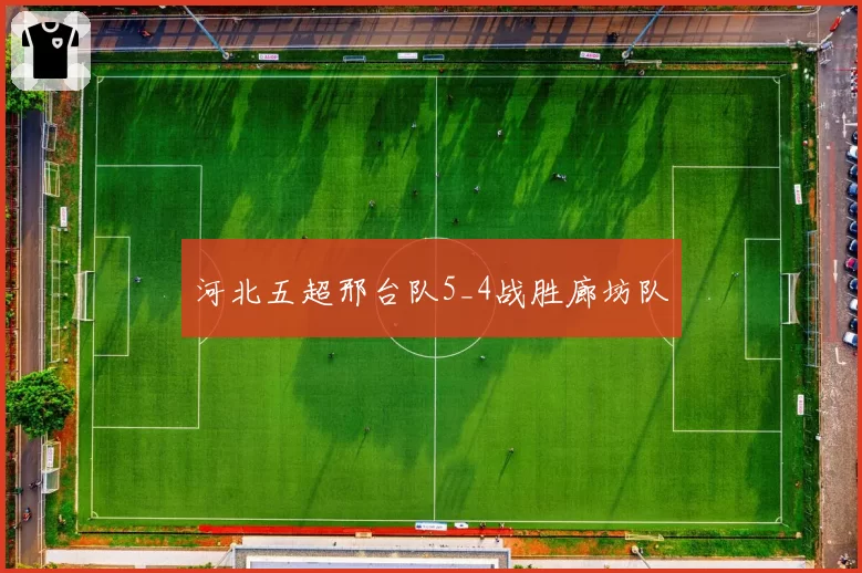 河北五超邢台队5_4战胜廊坊队