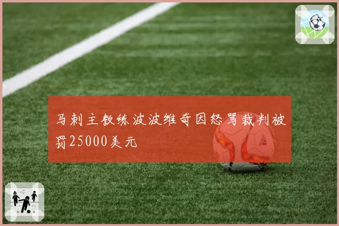 马刺主教练波波维奇因怒骂裁判被罚25000美元